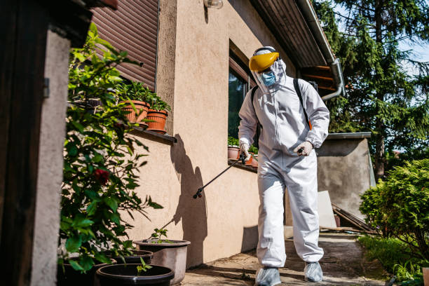 Best Rat Extermination Near Me  in Wabasso, FL
