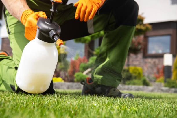 Best Commercial Pest Control Services  in Wabasso, FL