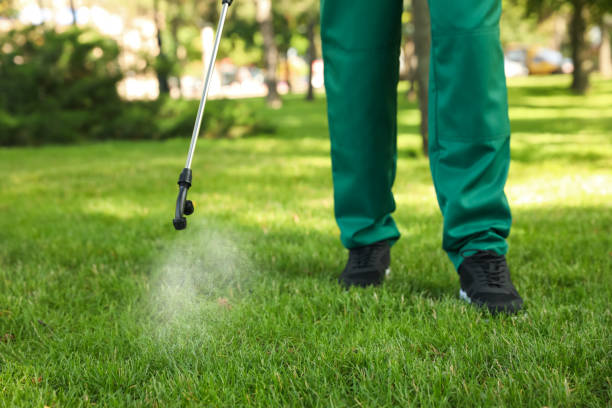 Best Bed Bug Extermination  in Wabasso, FL