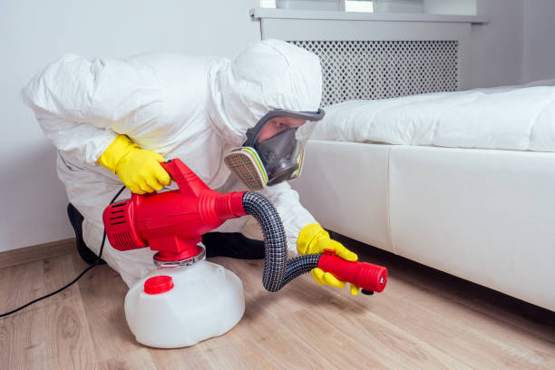 Best Pest Inspection Near Me  in Wabasso, FL