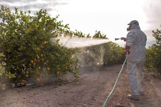 Best Pest Control for Restaurants  in Wabasso, FL