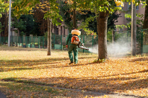 Best Wildlife Control Services  in Wabasso, FL