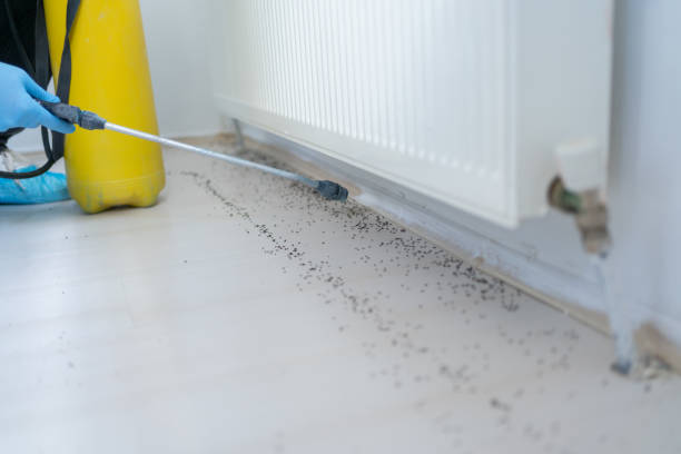 Best Cockroach Control Services  in Wabasso, FL