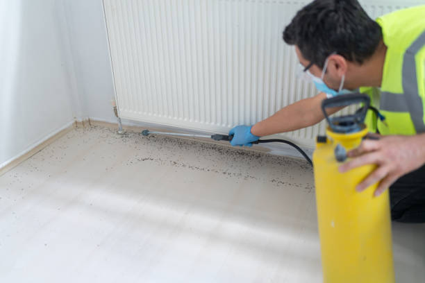 Best Pest Removal Services  in Wabasso, FL