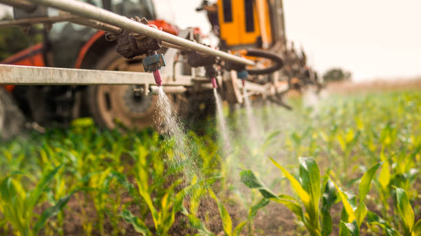 Reliable Wabasso, FL Pest Control Solutions